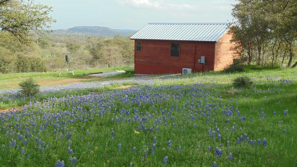 Texas T Bed And Breakfast Llano Exterior photo